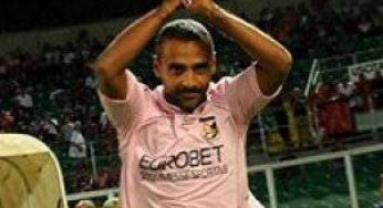 Calciomercato Palermo / Liverani piace al Toro