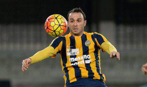 Pazzini Verona